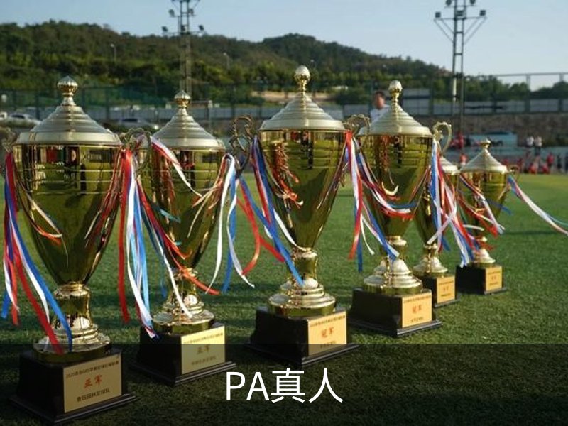 了解PA真人
